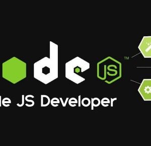 Node JS Developer
