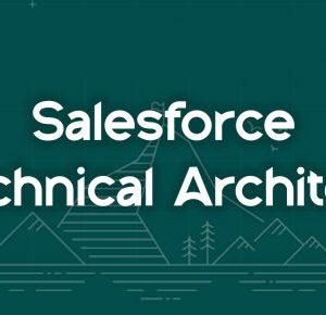Salesforce Technical Architect